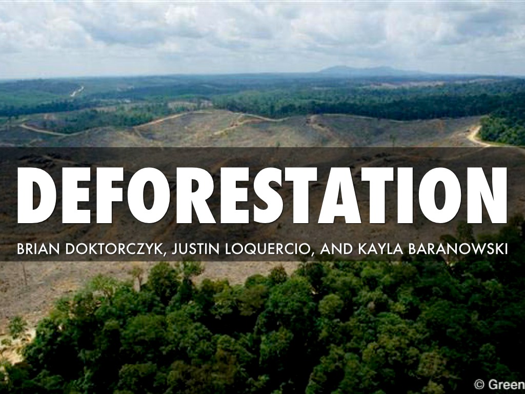 World Wildlife Foundation