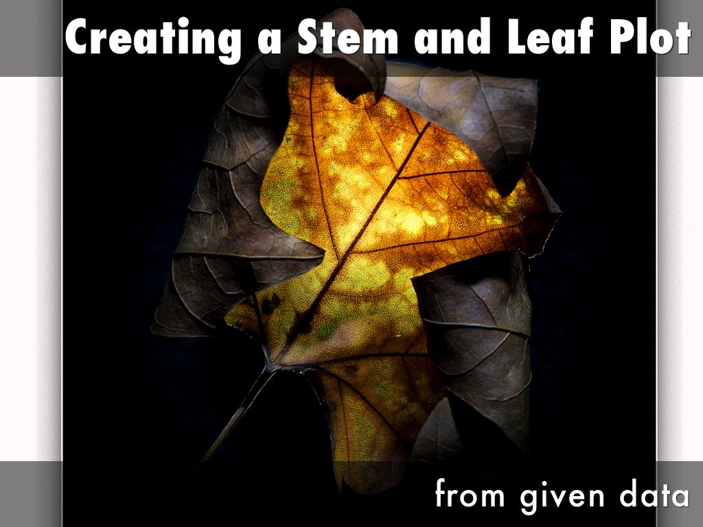 Creating a Stem and Leaf Plot by Ailee Reinhardt