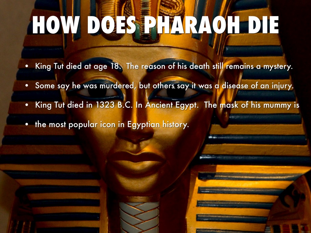 Was King Tut Murdered