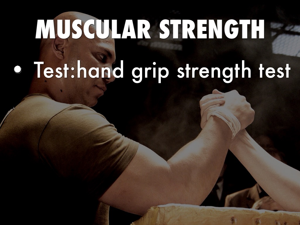 Components Of Fitness And Their Tests by walkda