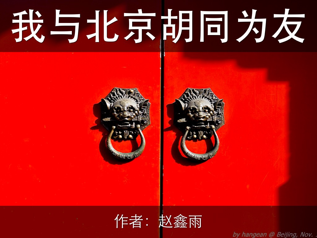 我与北京胡同为友