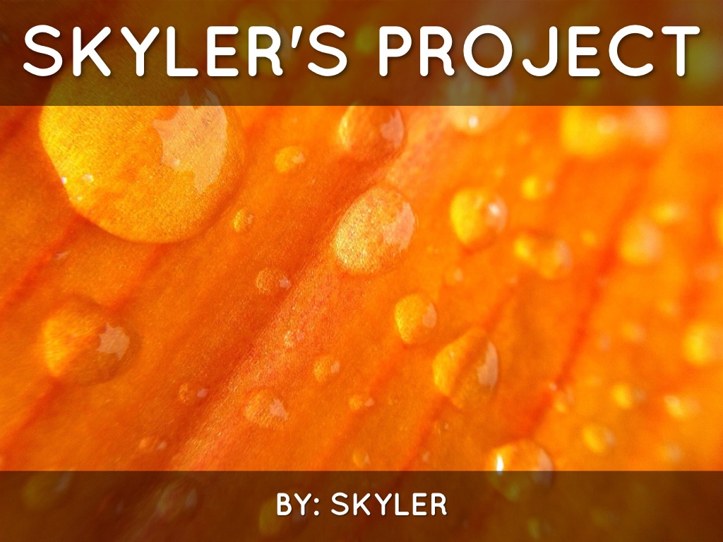 Skyler's Project