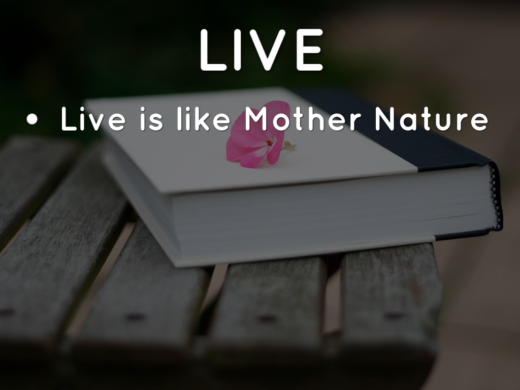 Haiku Deck In Action