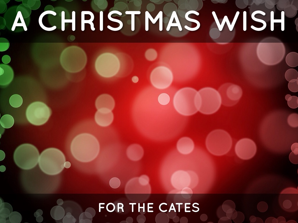 Christmas Wish