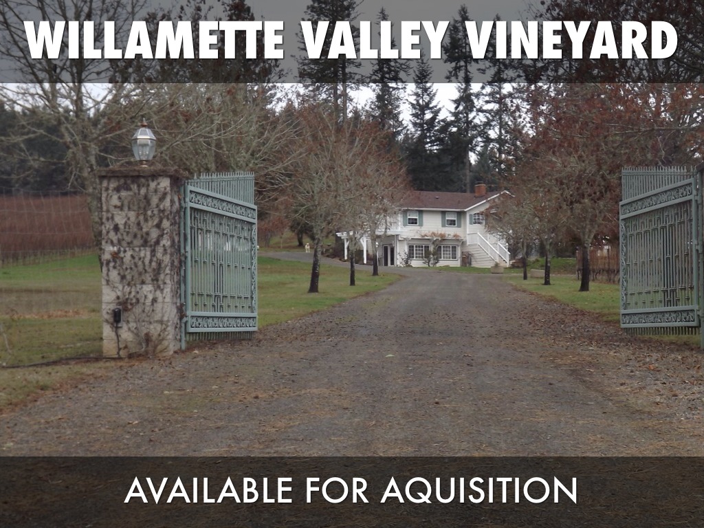 Vineyard For Sale