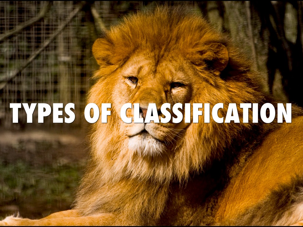 Types Of Classification