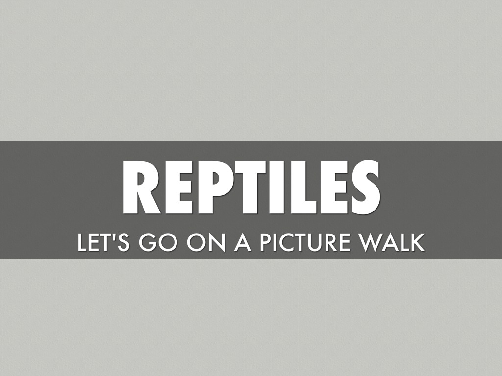 Reptiles
