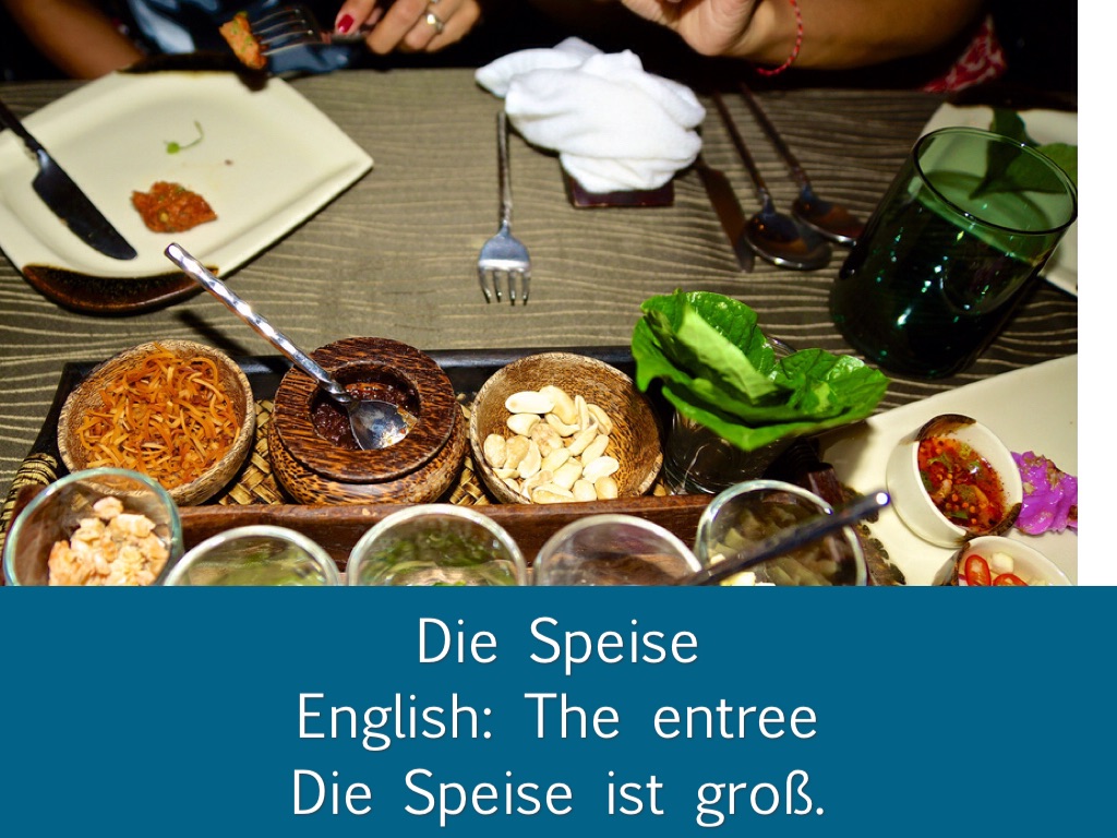 Unit 4 Vocab Project