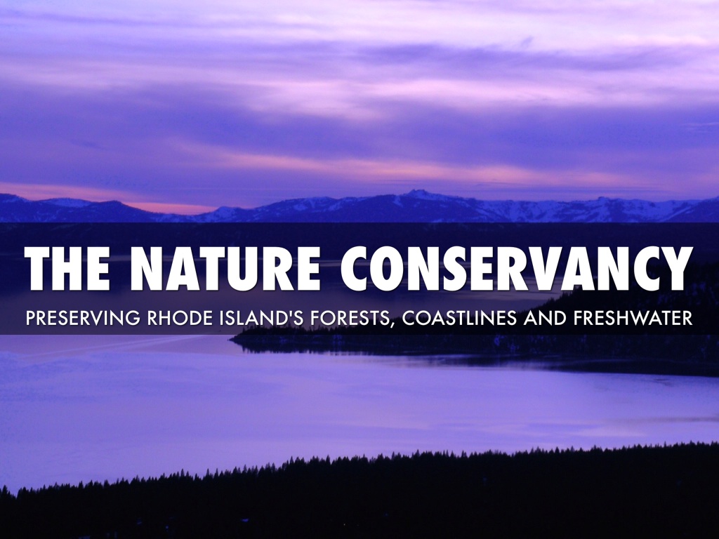 RI Environmental Issue