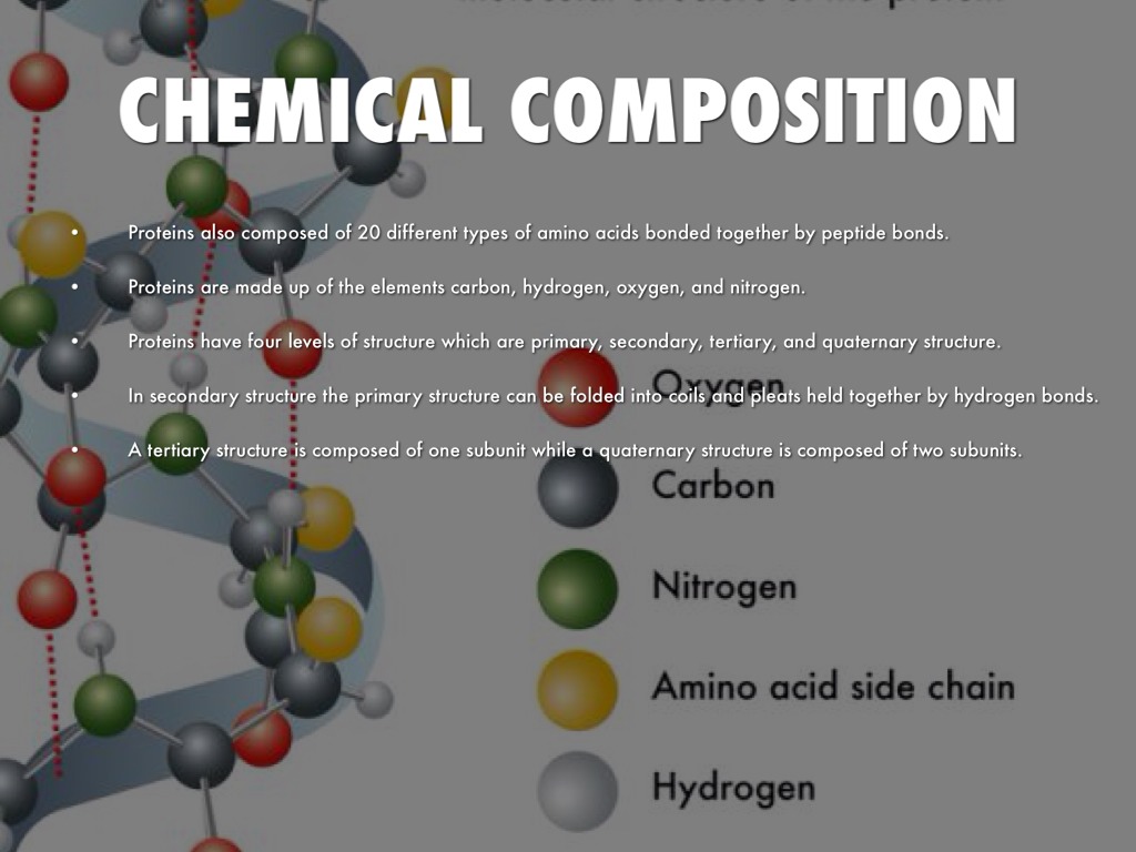 Other Names For Macromolecules
