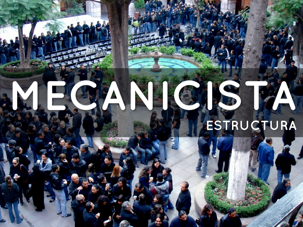 Estructuras Organizacionales