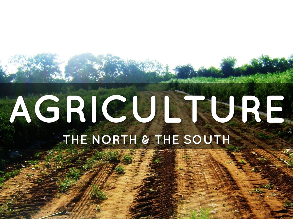 Agriculture 