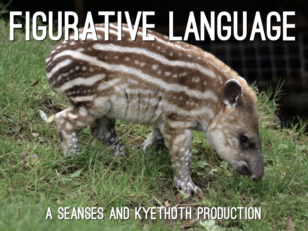 Figurative Language