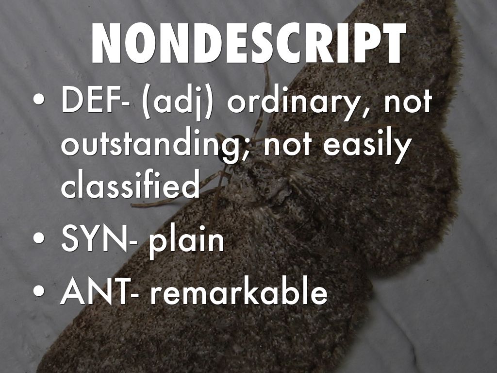 Vocab Unit 14 by Brandon Cregg
