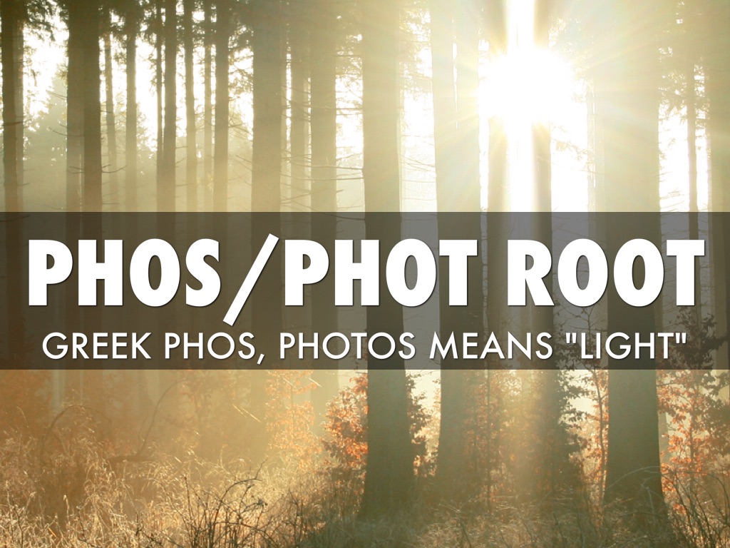 Unit 1 Greek And Latin Roots Study Guide
