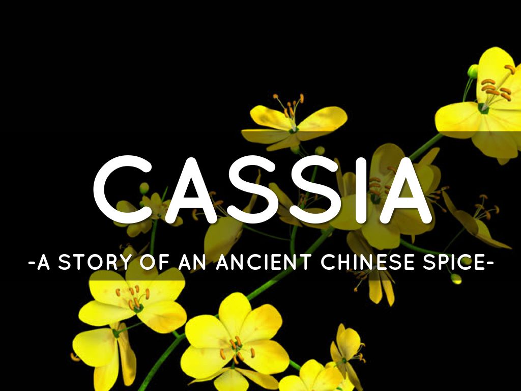 Cassia Spice