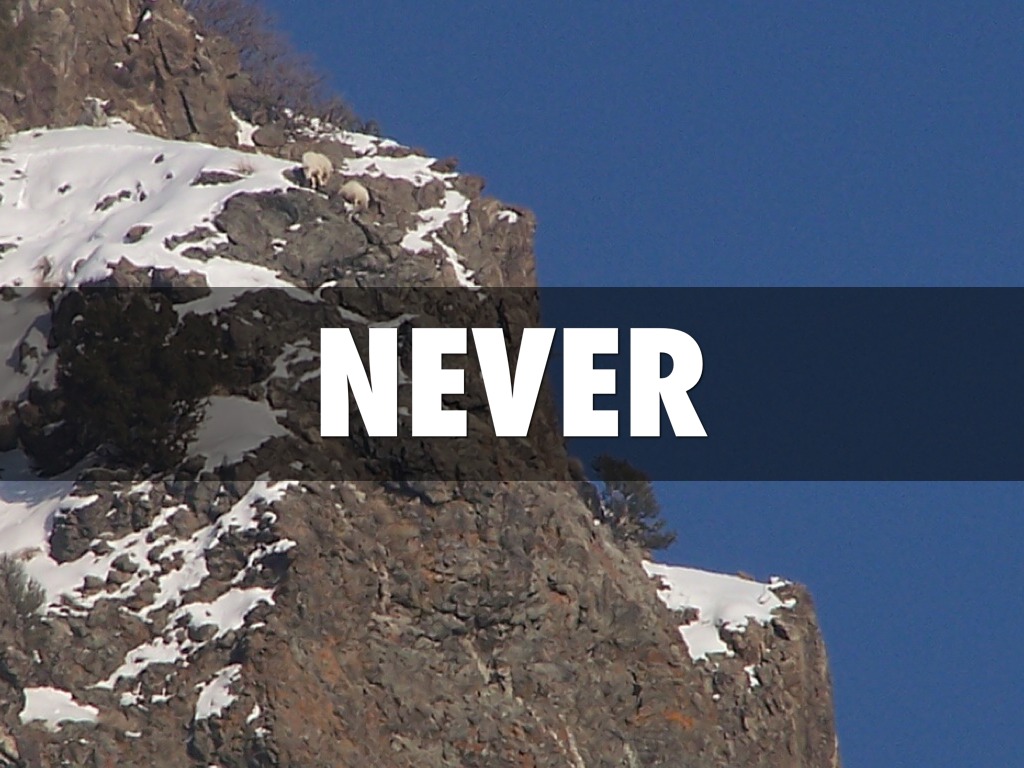 One Mountain, One Tiger