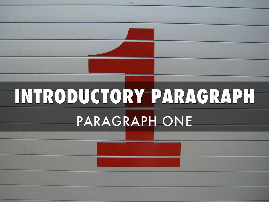 StepByStep Essay Structure by Shelby Williams