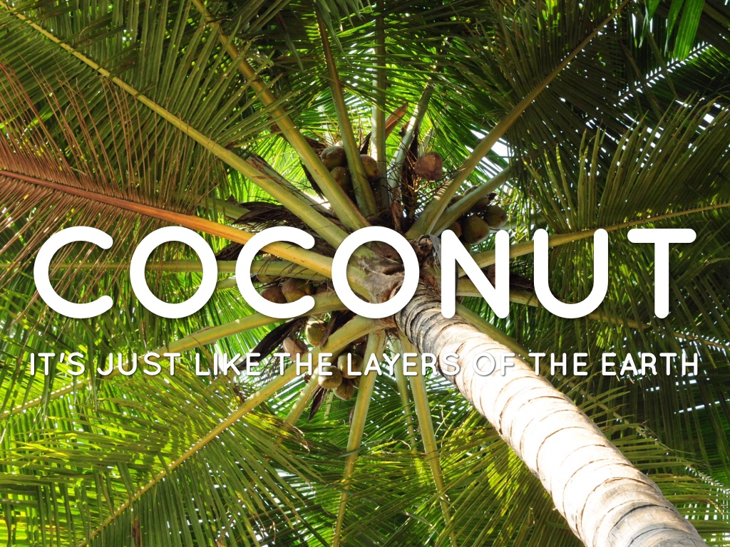 Coconut