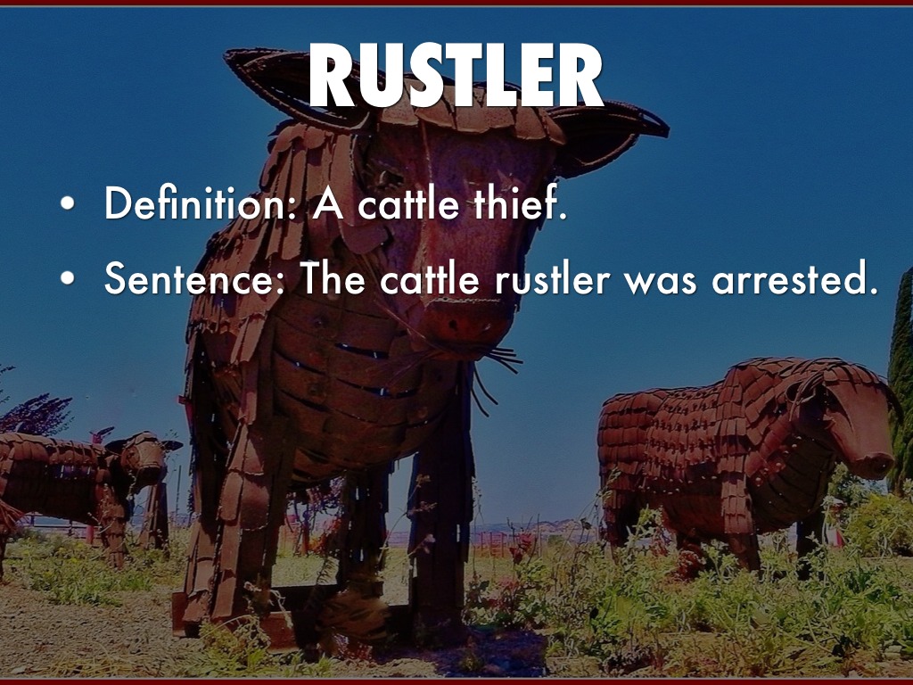 Cattle Lydia Par by lydia Par