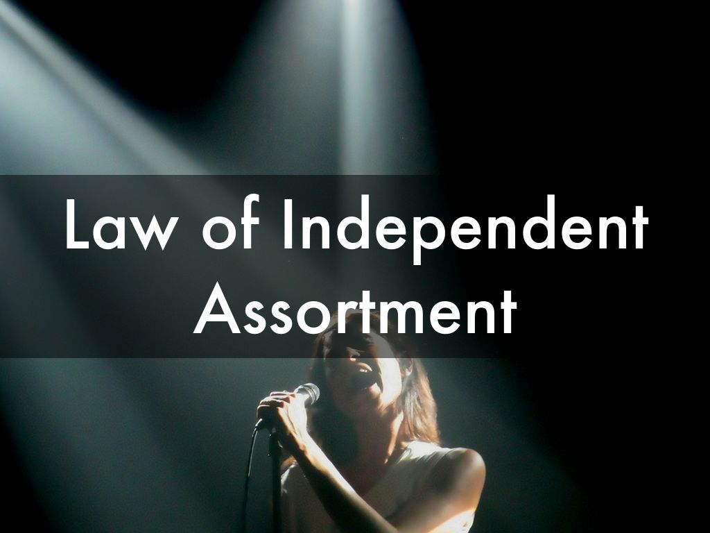 Law of Independent Assortment