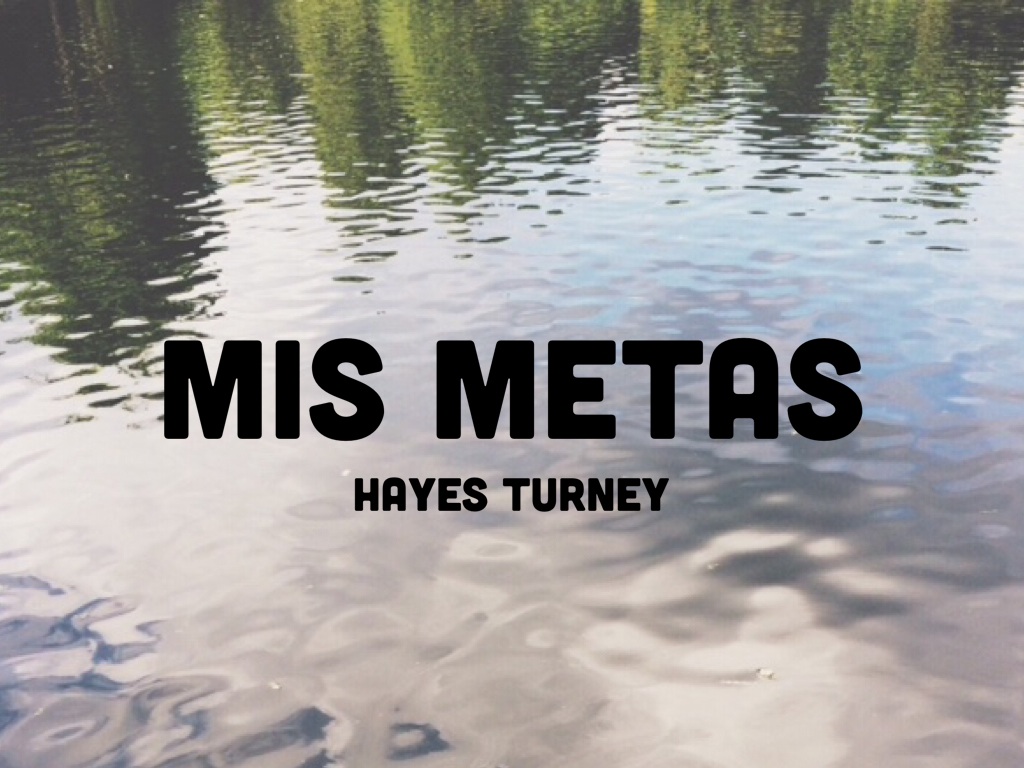 Mis metas para el año nuevo