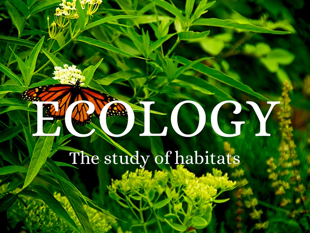 Ecology