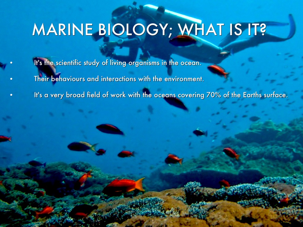 marine biology topics for presentation