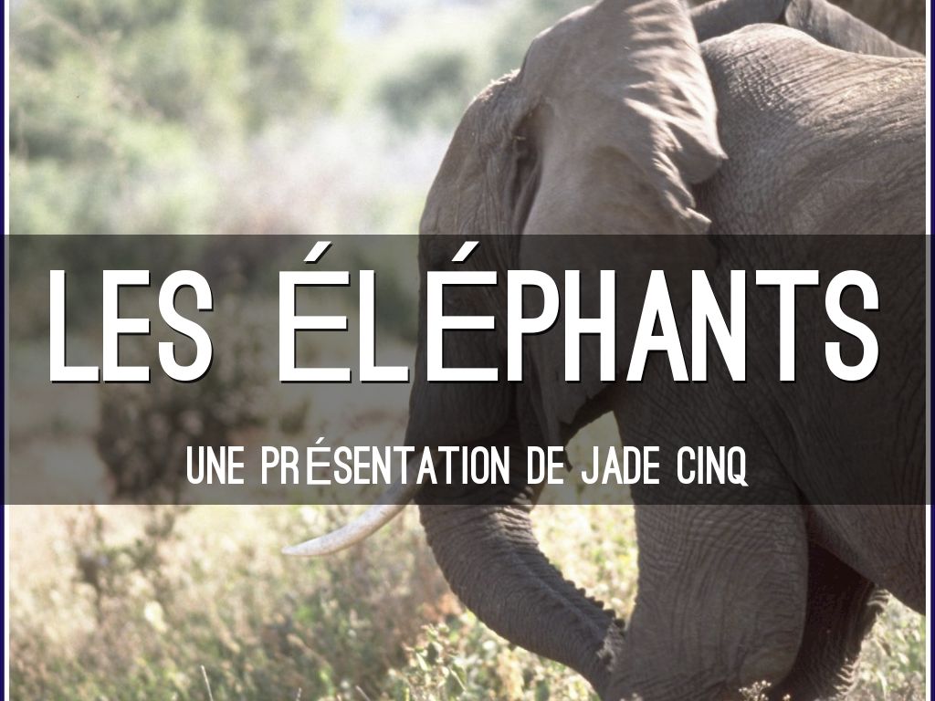 les éléphants