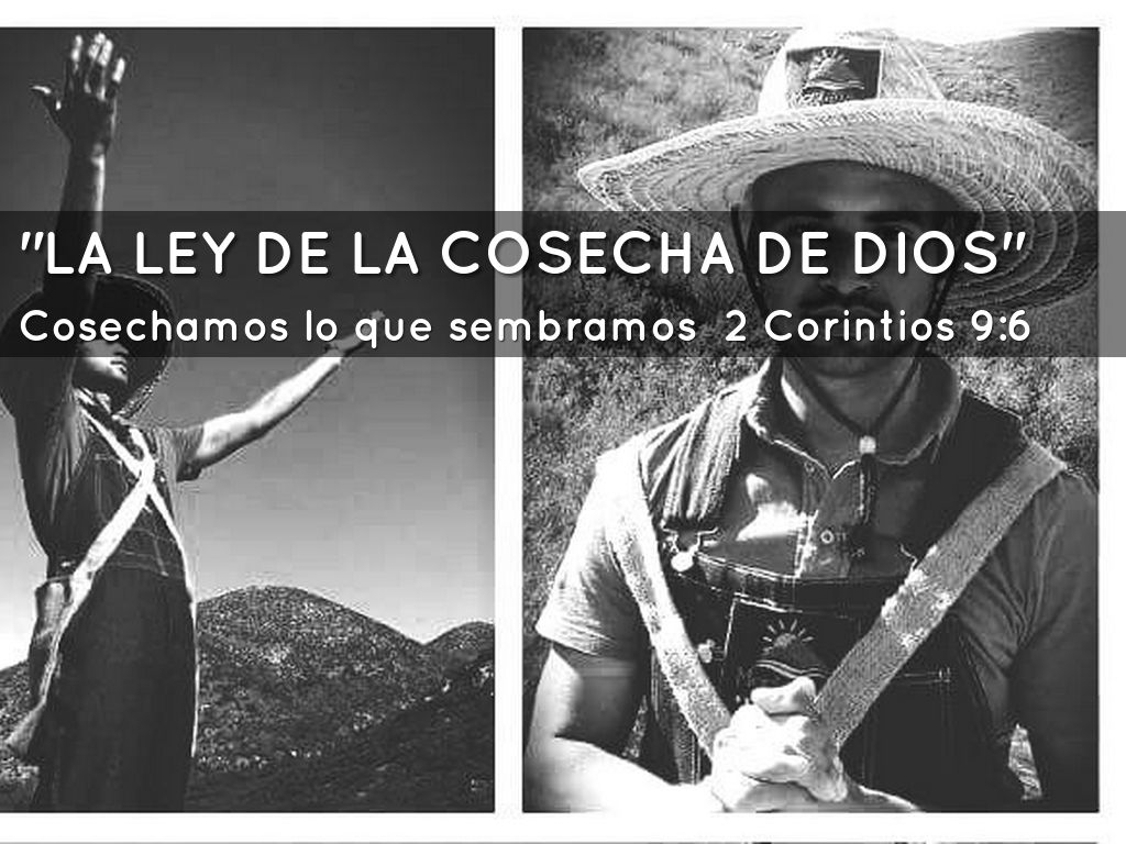 "LA LEY DE LA COSECHA DE DIOS"