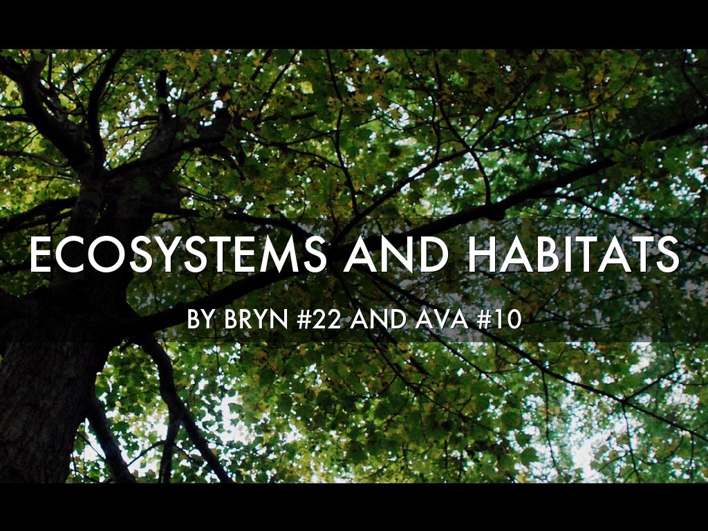 Ecosystems And Habitats🌎