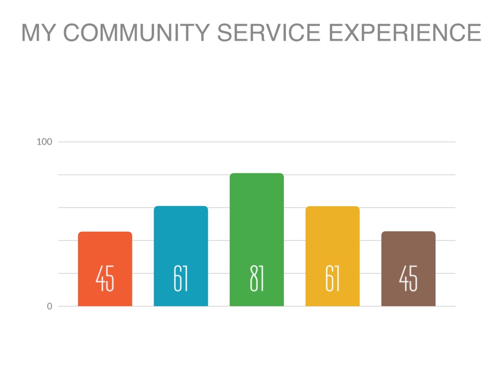 My Community Service 