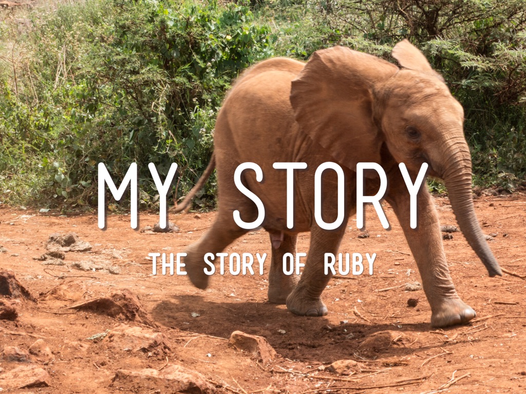 Ruby's Story