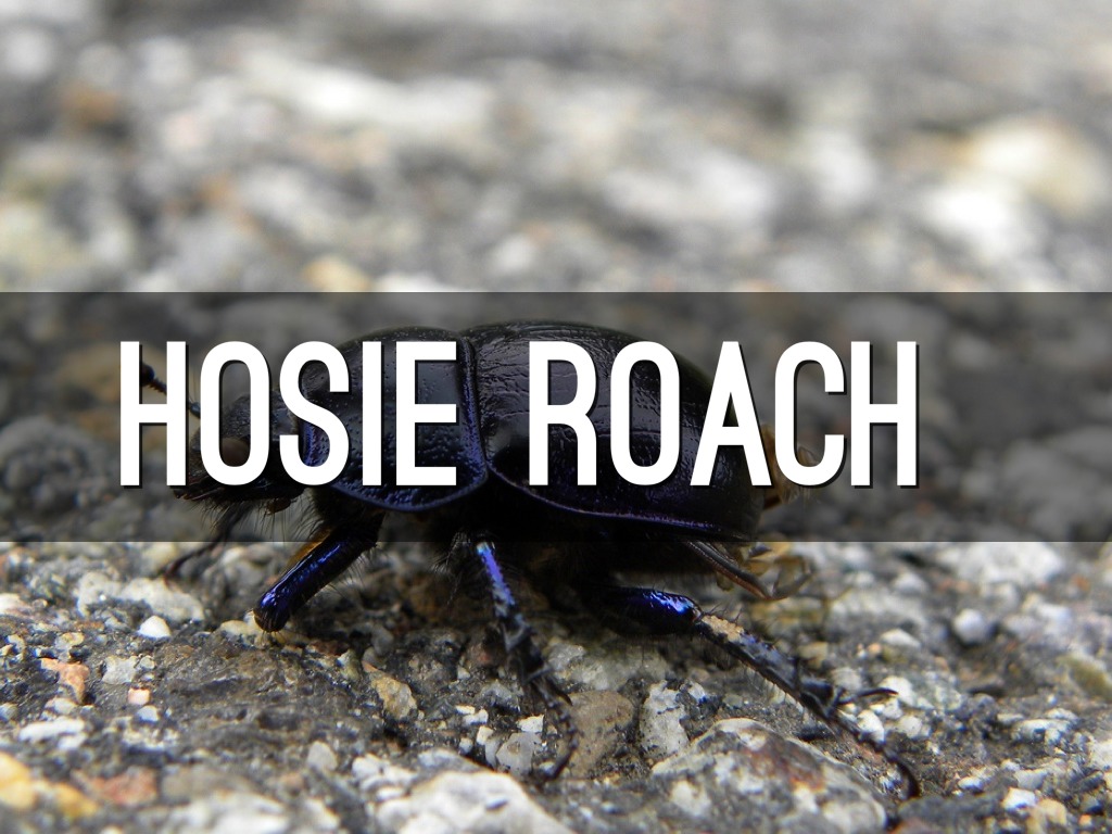 Hosie Roach