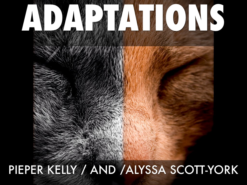 Pieter Kelly/Alyssa Scoot-York