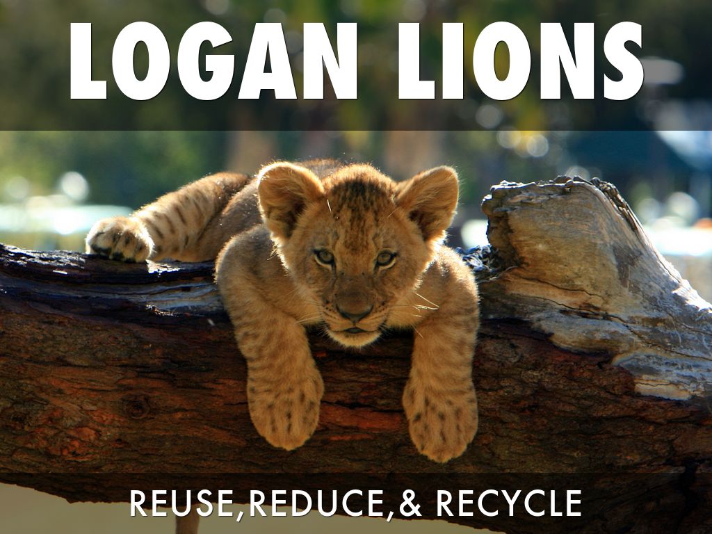 LOGAN LIONS