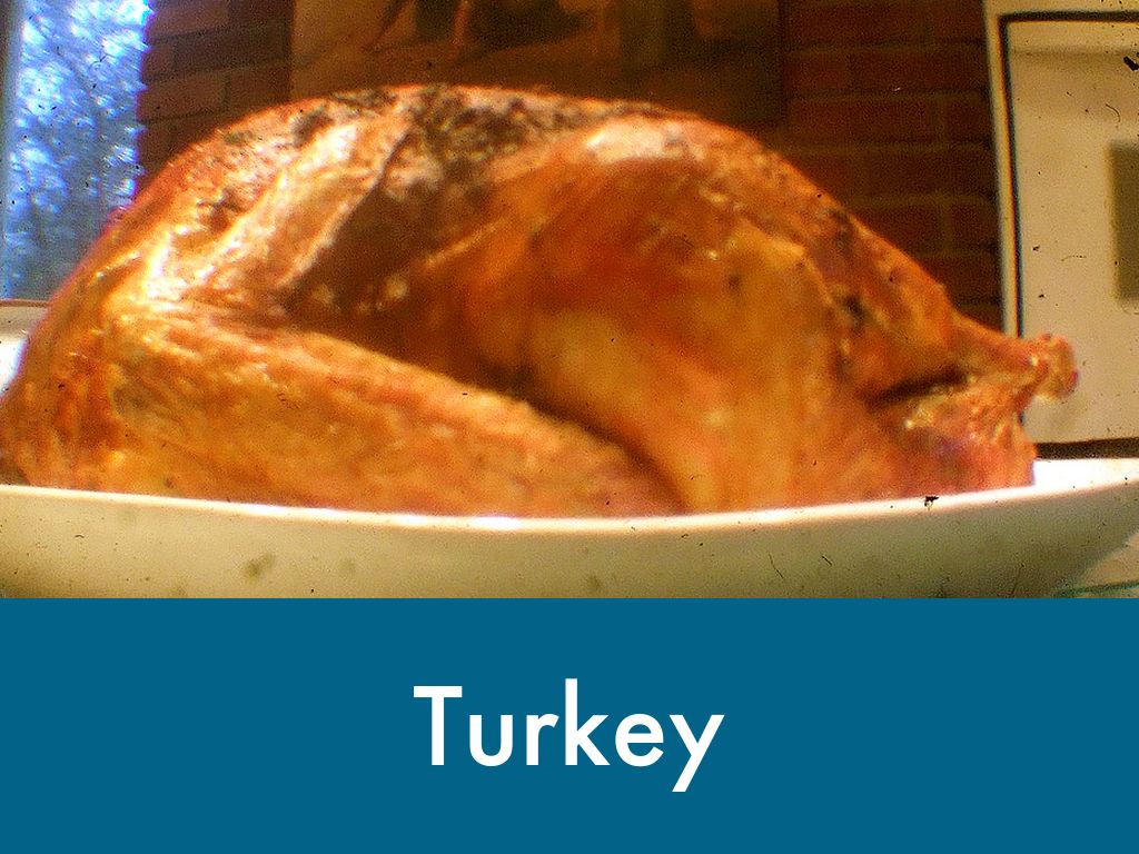  Thanks Giving By Scarlett
