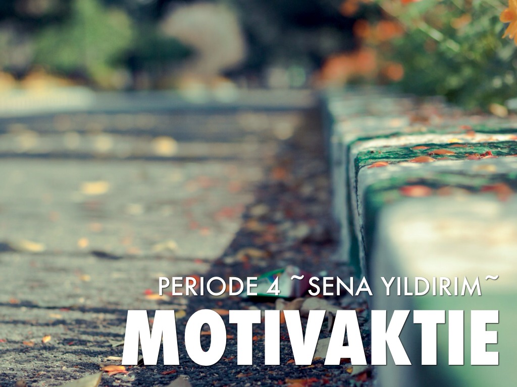 Motivaktie Periode 4