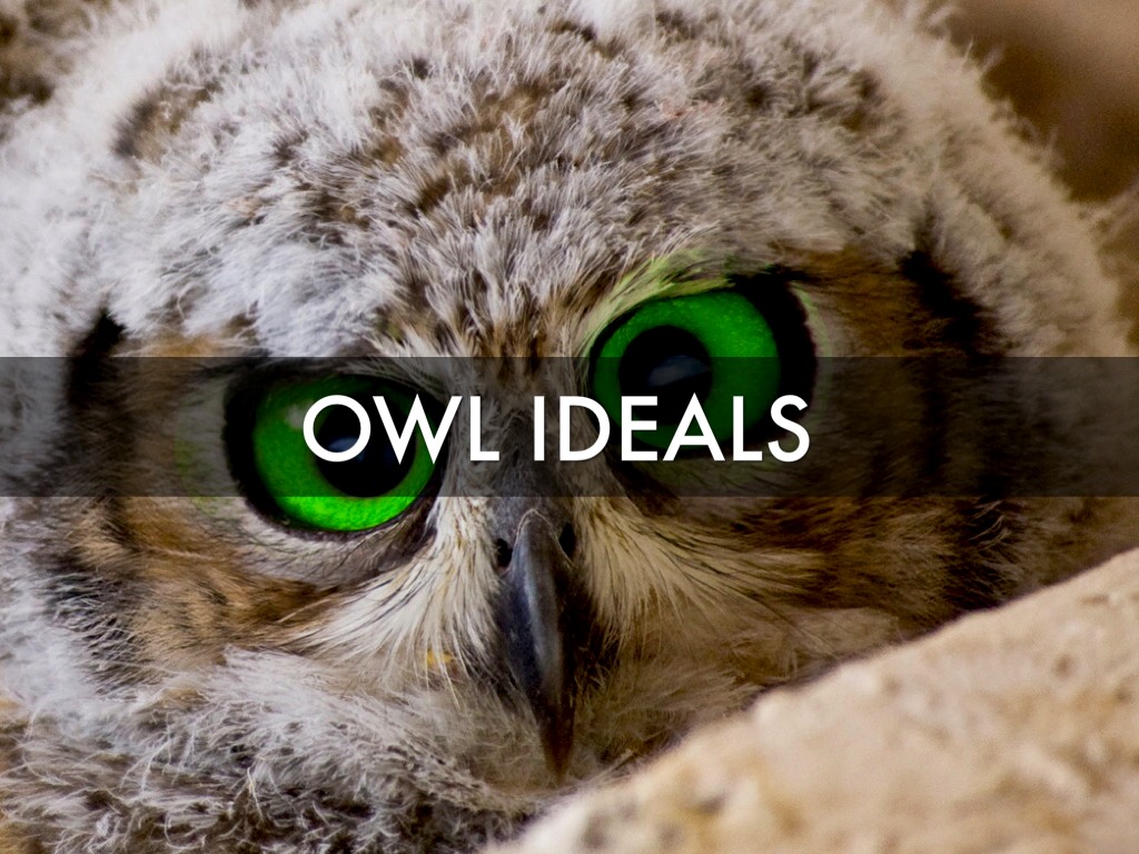Owl Ideals