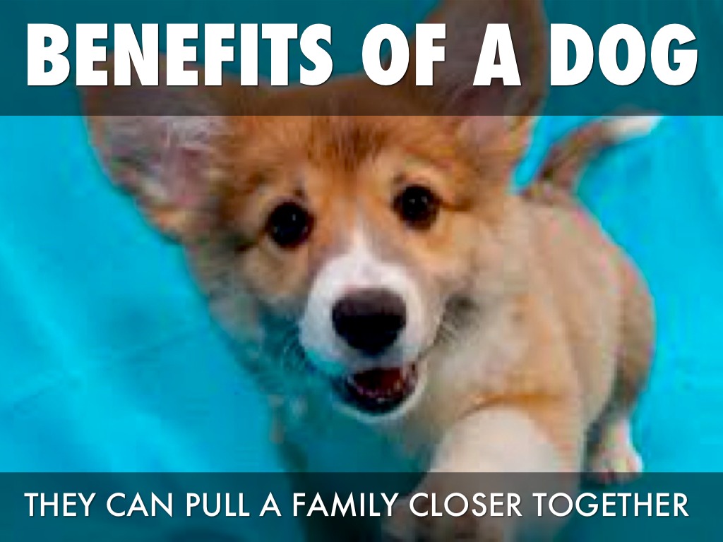 Benefits Of Having A Dog🐶 by Riley Yant