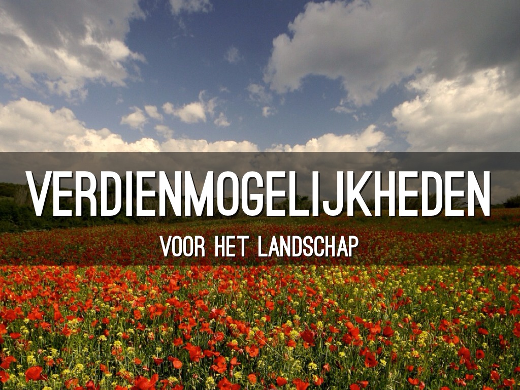 Verdienmogelijkheden