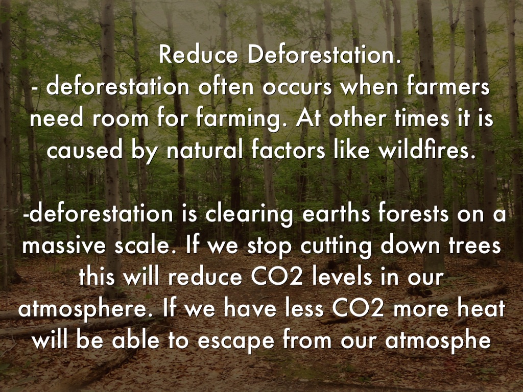 Solutions To global Warming by Amy Cox