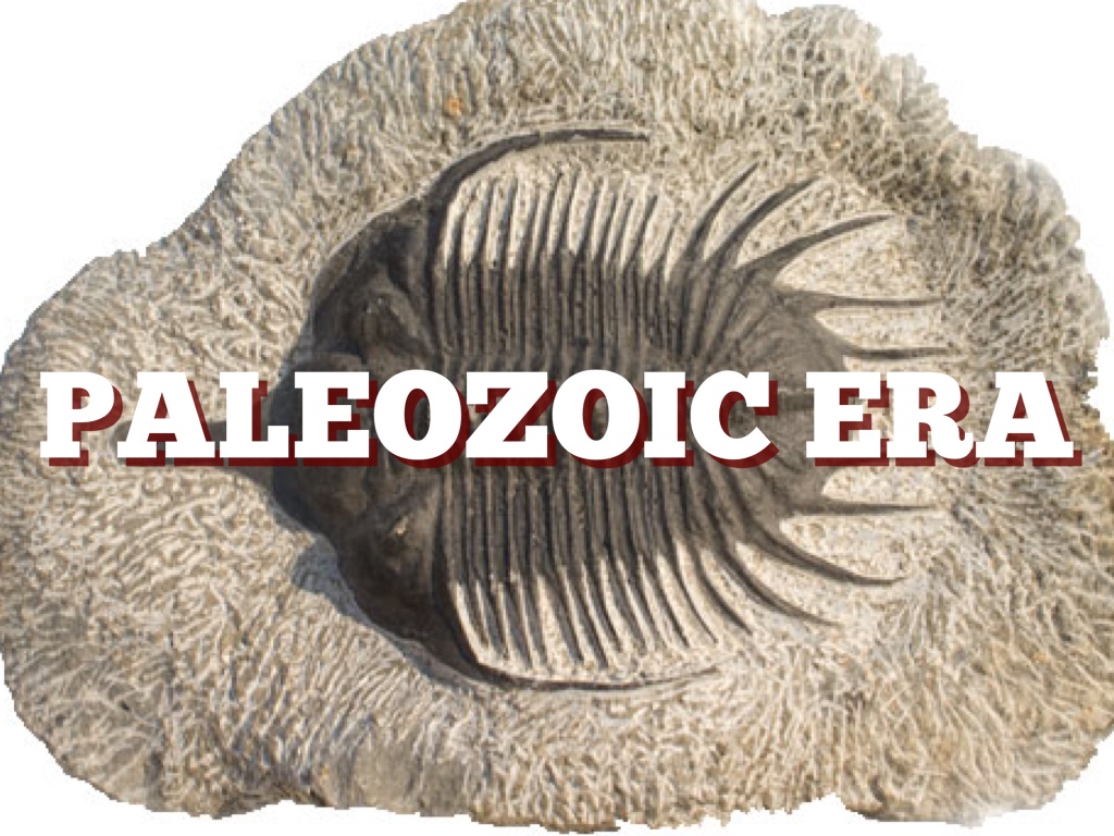 Copy of Paleozoic