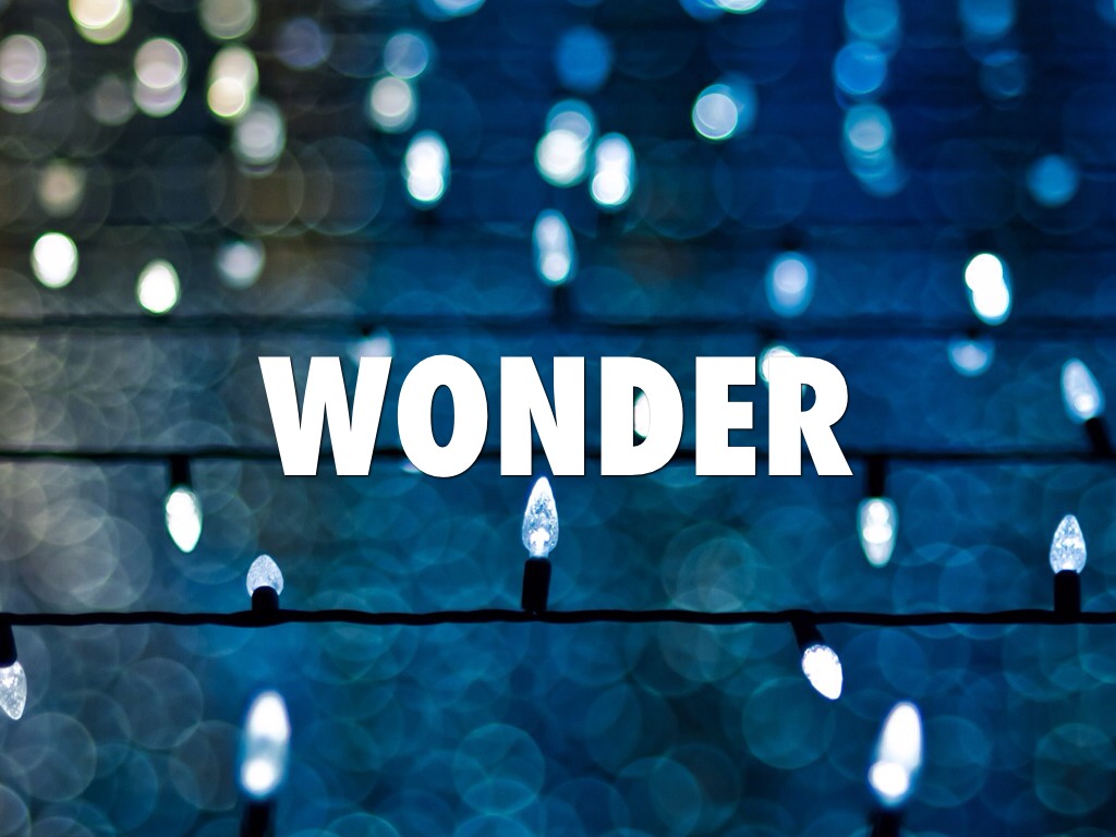 Wonder