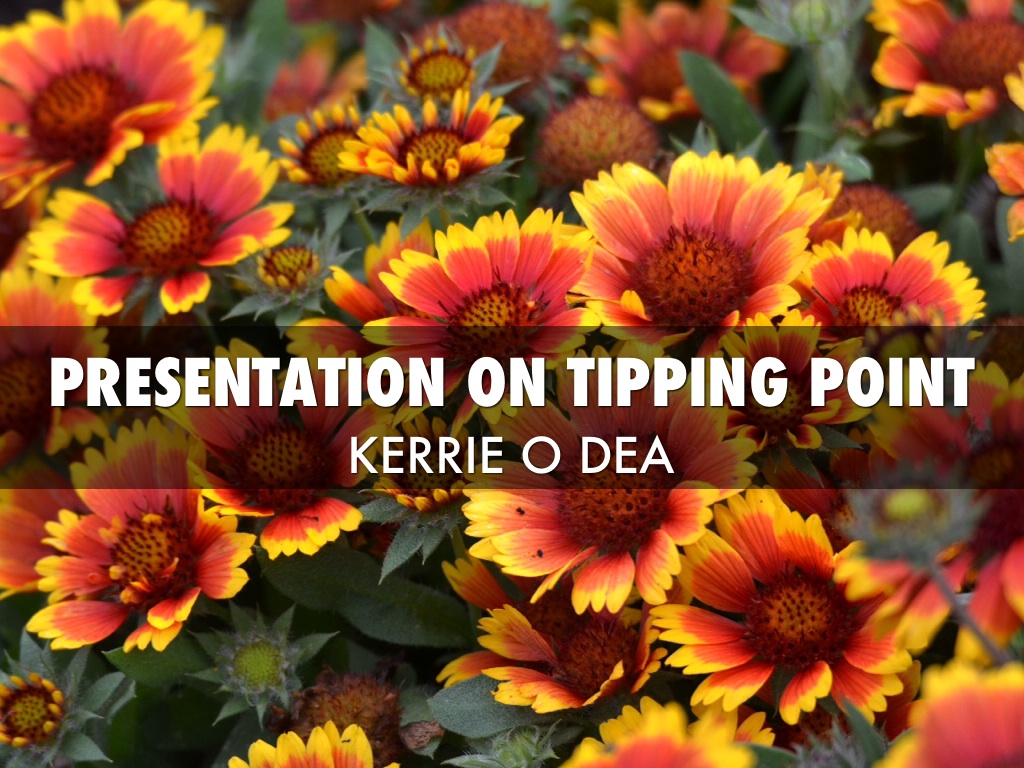 Copy of Dear All , This Is My Presentation On Tipping Point. 