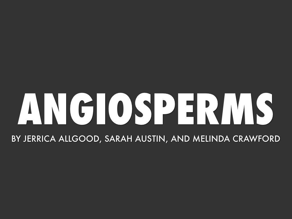 Angiosperms