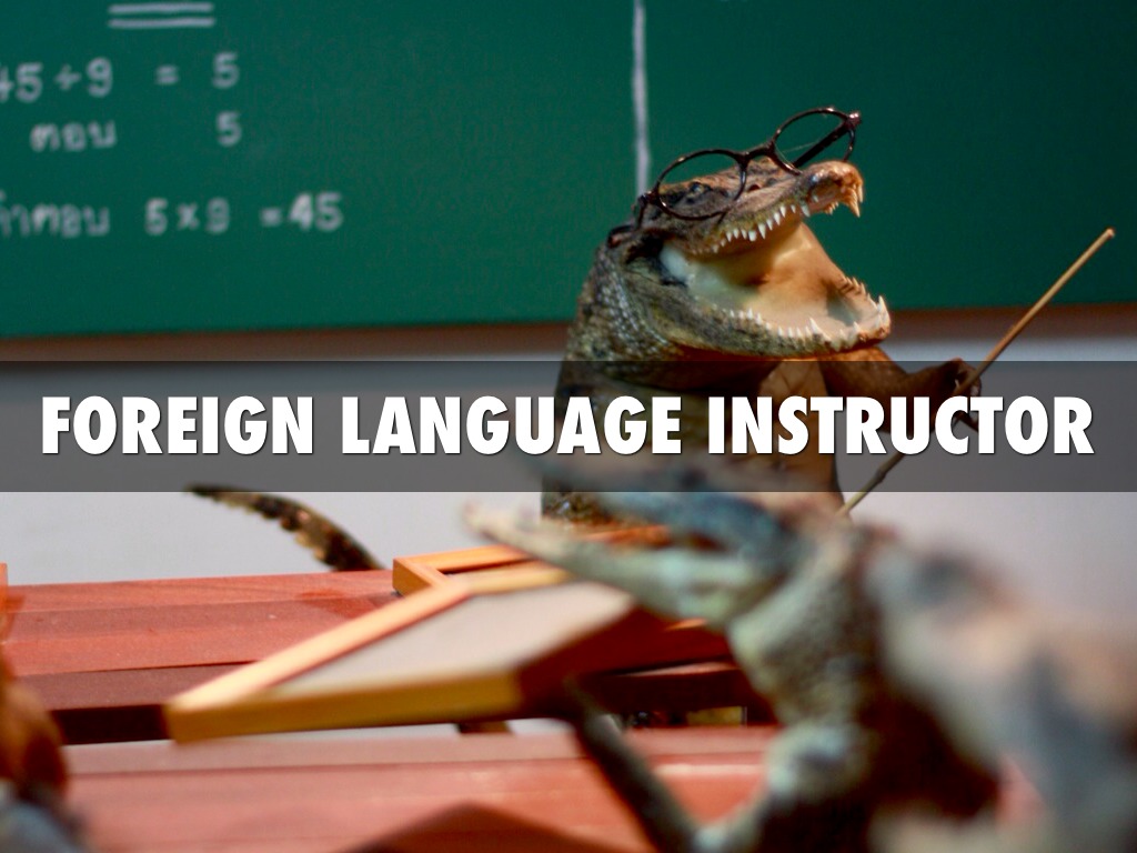 Trevor Vernier French Career