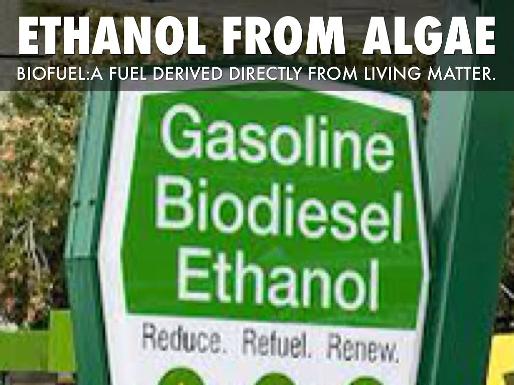 Ethanol In Algae