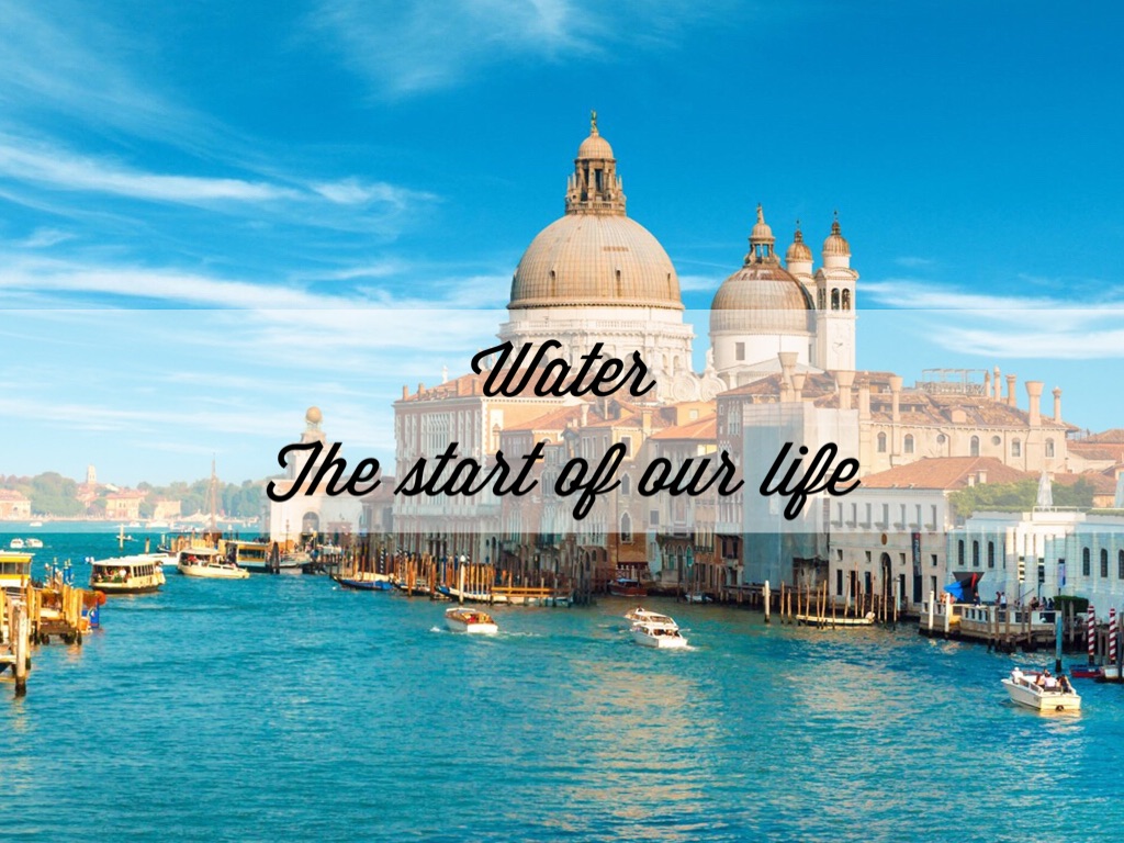 生命之源—水