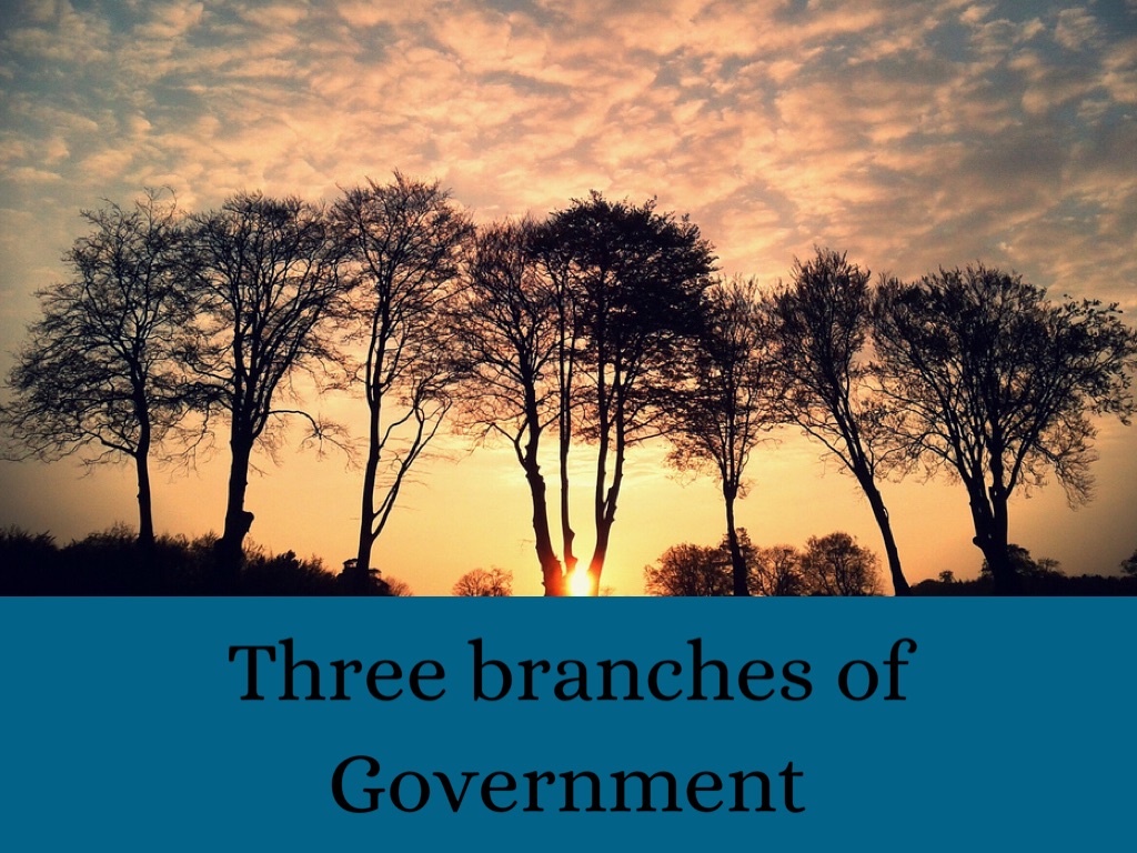 Branches Of Government